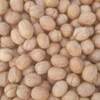 Walnut (Whole) Exporters, Wholesaler & Manufacturer | Globaltradeplaza.com