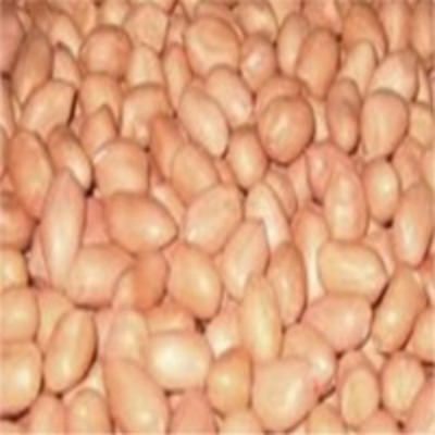 resources of Peanuts exporters