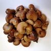 Cashew Nuts Exporters, Wholesaler & Manufacturer | Globaltradeplaza.com