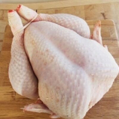 resources of Halal Fresh Frozen Whole Chicken &amp; Parts exporters