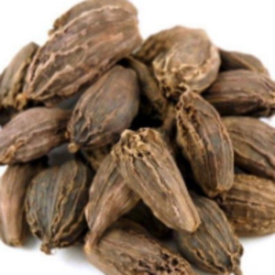 resources of Cardamom Large exporters
