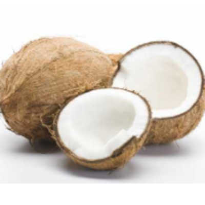 resources of Coconut exporters