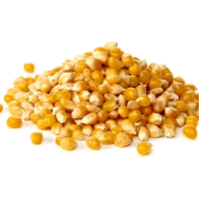 resources of Corn Or Maize exporters