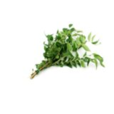 resources of Curry Leaf exporters