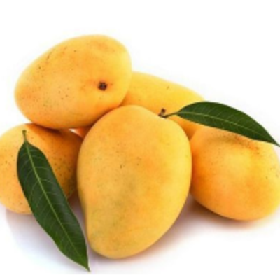 resources of Mango exporters