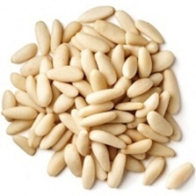 resources of Pine Nuts (Chilgoza) exporters