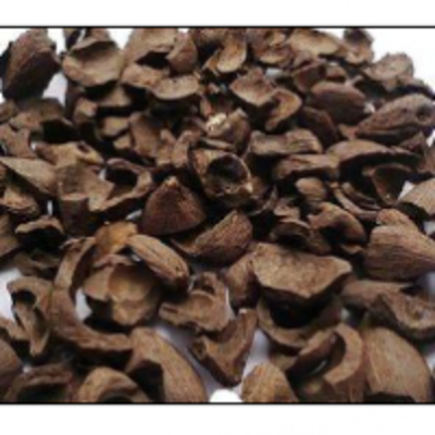 resources of Palm Kernel Shell exporters
