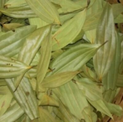 resources of Bay Leaves exporters