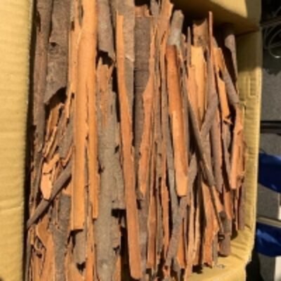 resources of Cinnamon Barks exporters