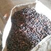 Cocoa Beans Exporters, Wholesaler & Manufacturer | Globaltradeplaza.com