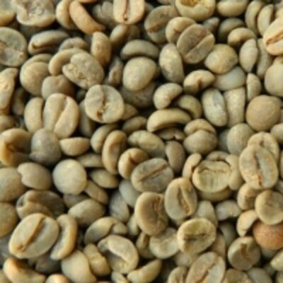 resources of Green Coffee Beans exporters