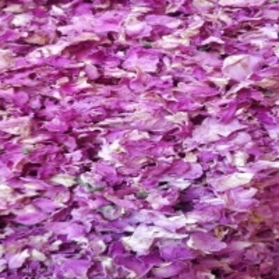 resources of Pink Rose Petals Dry exporters