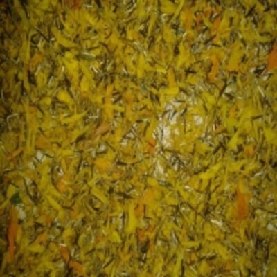 resources of Marigold Petals Dry Yellow exporters