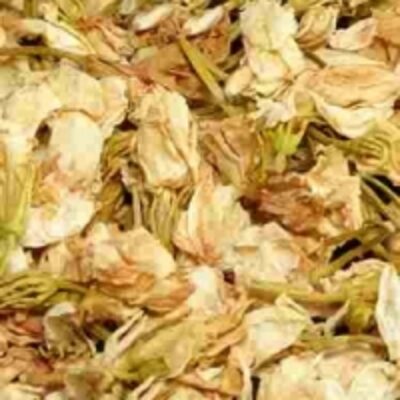 resources of Dry Jasmine Flowers exporters