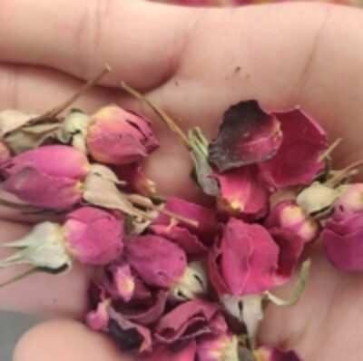 resources of Rose Buds Red Dry exporters