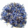 Blue Cornflowers Exporters, Wholesaler & Manufacturer | Globaltradeplaza.com