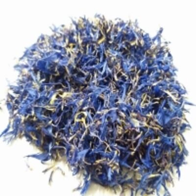 resources of Blue Cornflowers exporters