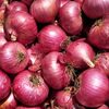 Fresh Onions Exporters, Wholesaler & Manufacturer | Globaltradeplaza.com