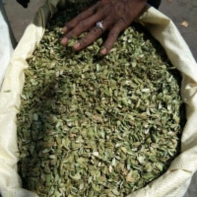 resources of Green Cardamom Skin exporters