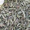 Basil Leaves Dry (Ocimum Sanctum) Exporters, Wholesaler & Manufacturer | Globaltradeplaza.com