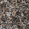 Moringa Seeds Pkm1 Variety Exporters, Wholesaler & Manufacturer | Globaltradeplaza.com