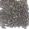 Black Pepper Exporters, Wholesaler & Manufacturer | Globaltradeplaza.com