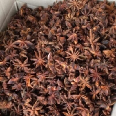 resources of Star Anise exporters