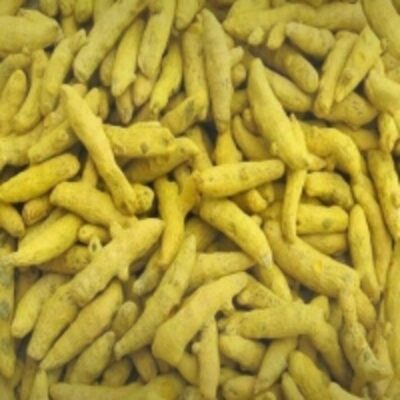 resources of Turmeric Fingers exporters