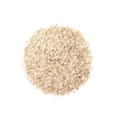 resources of Natural White Sesame Seeds exporters