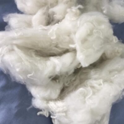resources of Recycled Polyester Staple  Fibre ( Raw White ) exporters