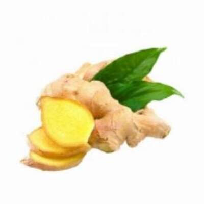Fresh Ginger Exporters, Wholesaler & Manufacturer | Globaltradeplaza.com
