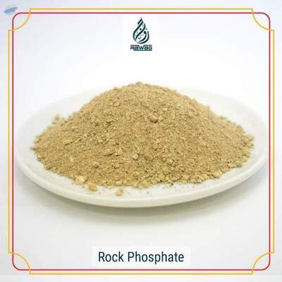 resources of Rock Phosphate exporters