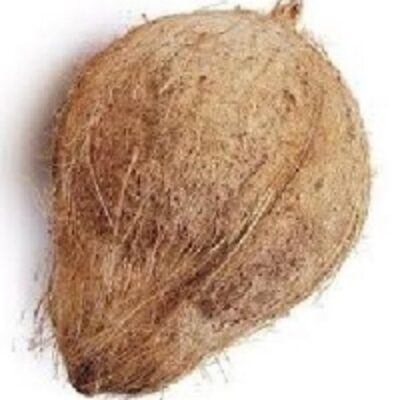 resources of Semi-Husked Coconut exporters