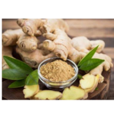 resources of Dry Ginger Powder exporters