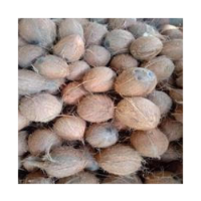 resources of Coconut Dry exporters