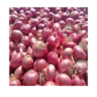 resources of Onions exporters