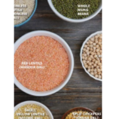 resources of Pulses exporters