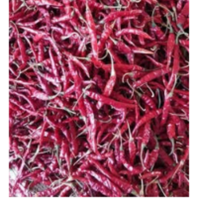 resources of Red Chilly Dry exporters