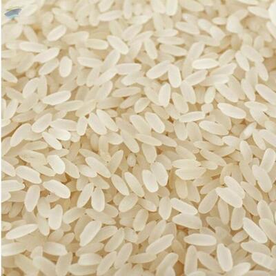 resources of Short Grain Rice Manufacturers &amp; Suppliers India exporters