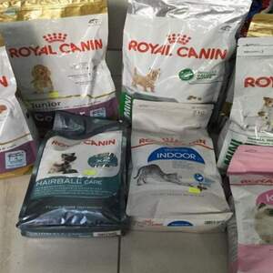 Cheapest royal sales canin cat food