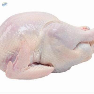 resources of Whole Chicken Griller exporters
