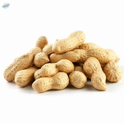 resources of White Sand Peanuts In The Shell exporters