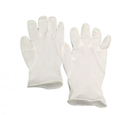Vinyl Disposable Clear Gloves Exporters, Wholesaler & Manufacturer | Globaltradeplaza.com