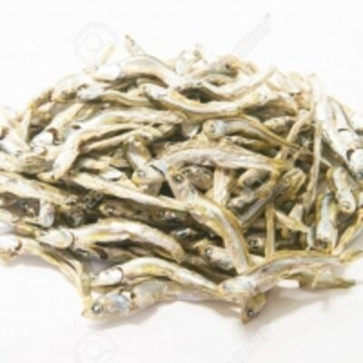 Dried Anchovy Fish Viet Nam Exporters, Wholesaler & Manufacturer | Globaltradeplaza.com