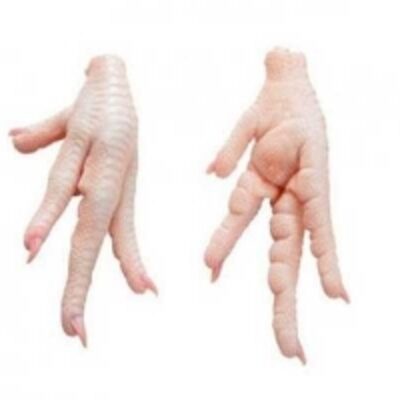 Halal Clean Grade Aa Processed Chicken Feet Exporters, Wholesaler & Manufacturer | Globaltradeplaza.com