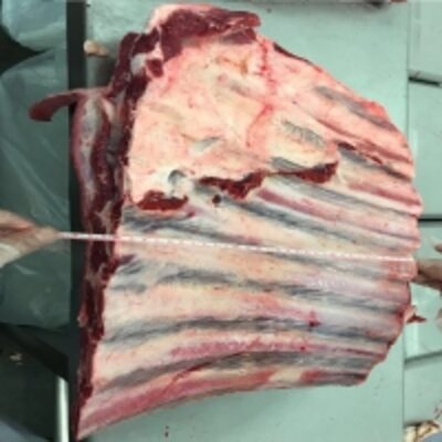 Top Quality Halal Buffalo Boneless Meat Frozen Exporters, Wholesaler & Manufacturer | Globaltradeplaza.com