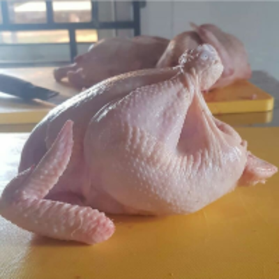 Halal Frozen Chickens Exporters, Wholesaler & Manufacturer | Globaltradeplaza.com