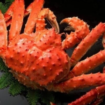 Frozen King Crabs Exporters, Wholesaler & Manufacturer | Globaltradeplaza.com