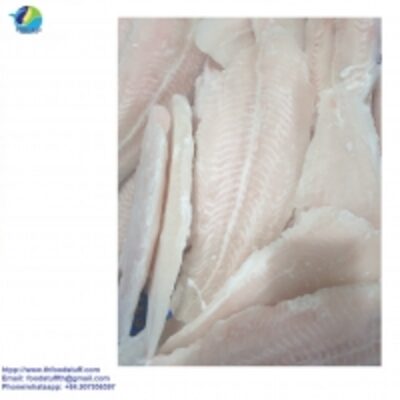 Pangasius Fillet Well-Trimmed, Frozen Fish Exporters, Wholesaler & Manufacturer | Globaltradeplaza.com