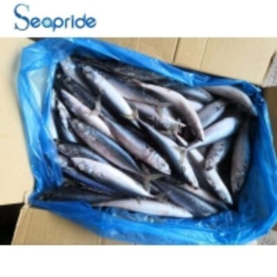 Chinese Mackerel Fish Product Exporters, Wholesaler & Manufacturer | Globaltradeplaza.com
